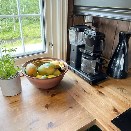 Tatil Evi Cozy On With Jacuzzi Close To Cross-country Trails And Hiking Trails Lifjell