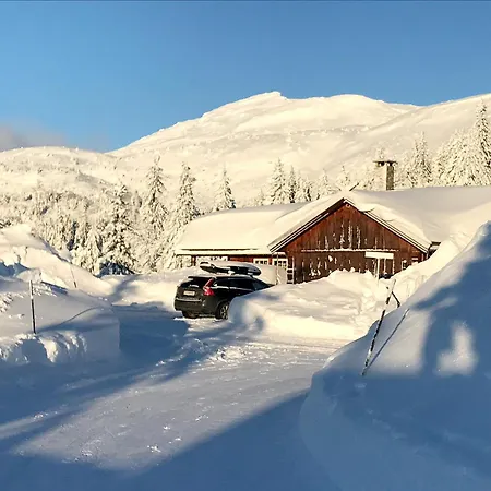 Cozy On With Jacuzzi Close To Cross-country Trails And Hiking Trails Lifjell