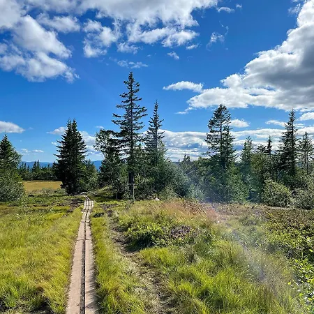 Cozy On With Jacuzzi Close To Cross-country Trails And Hiking Trails * Lifjell